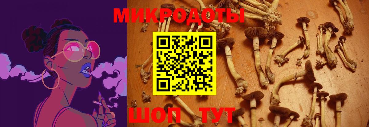 Казань  Галлюциногенные грибы мицелий  где можно купить   Вход с VPN 